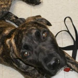 Meet your Posher, Tanya